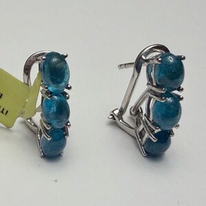 Blue Apatite Leverback Earrings Estate Jewelry